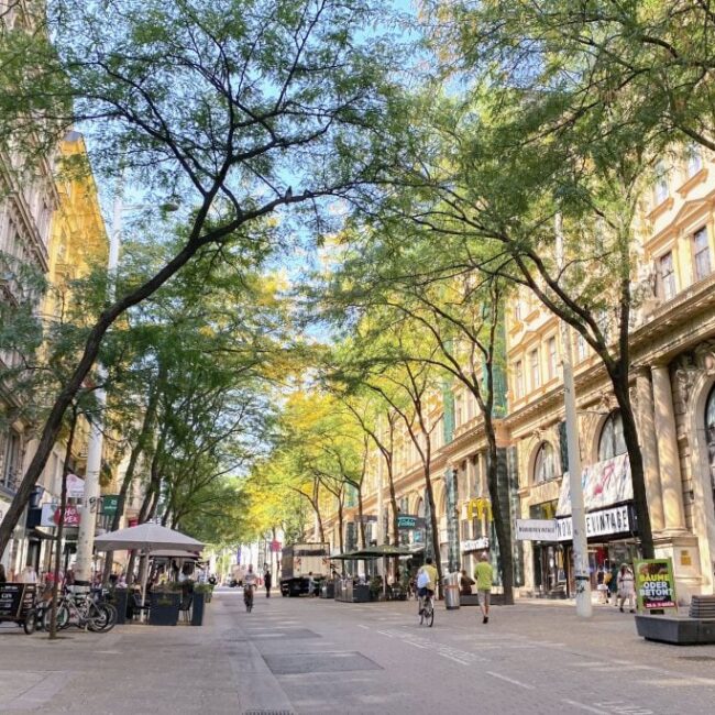 Para combatir el calor en nuestras ciudades